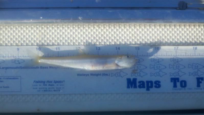 2011-07-23_08-08-11_912.jpg