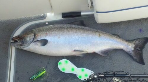 2011-08-05_09-17-29_779.jpg