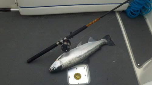 2011-08-07_08-21-16_183.jpg
