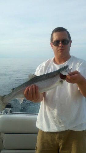 2011-08-12_18-45-37_162.jpg