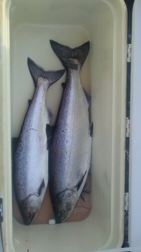 2011-08-12_19-05-37_785.jpg