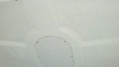 2011-08-27_09-06-59_734.jpg