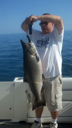 2011-08-27_09-56-09_736.jpg