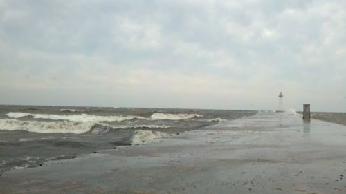 2011-08-28_07-19-29_523.jpg