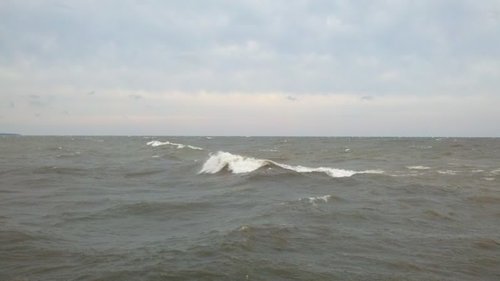 2011-08-28_07-25-42_265.jpg