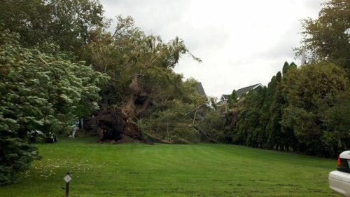 2011-08-28_08-20-05_631.jpg