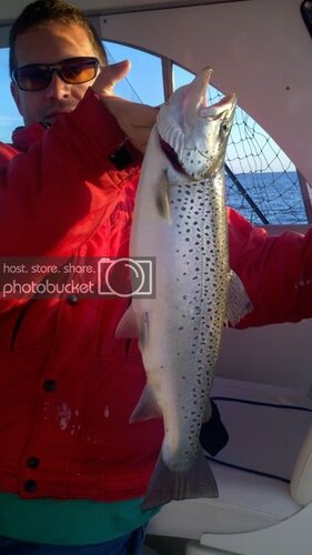 2011-09-11_07-05-16_123.jpg