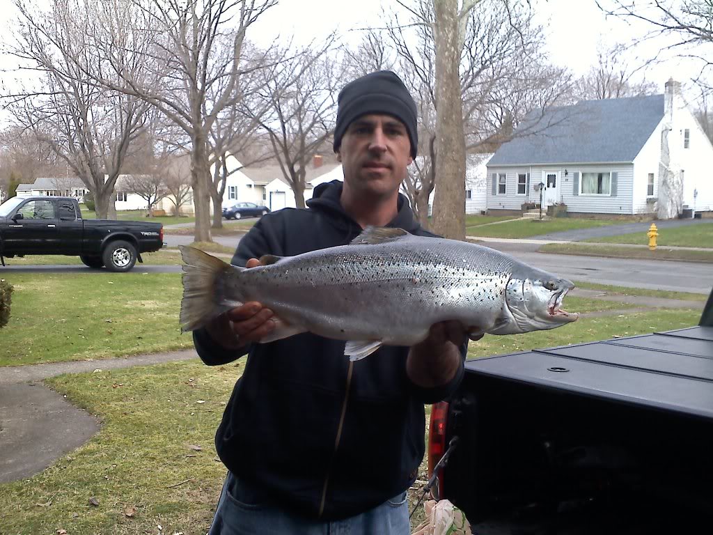 20110408182823.jpg