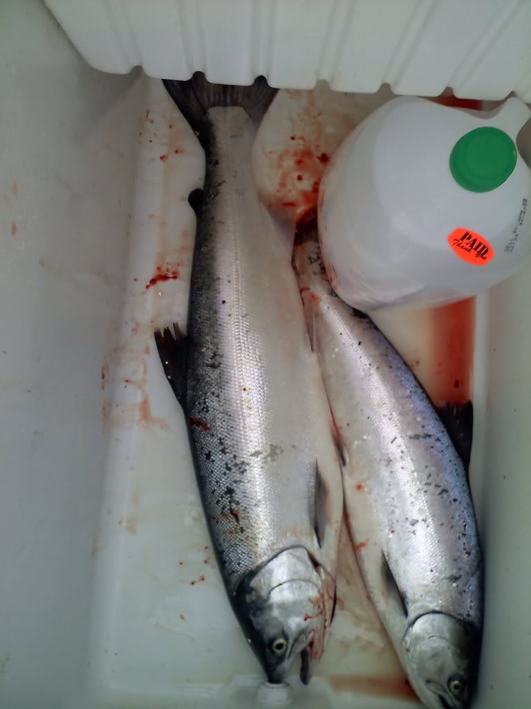 20110604081451.jpg