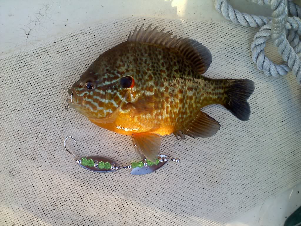 20110731073941.jpg