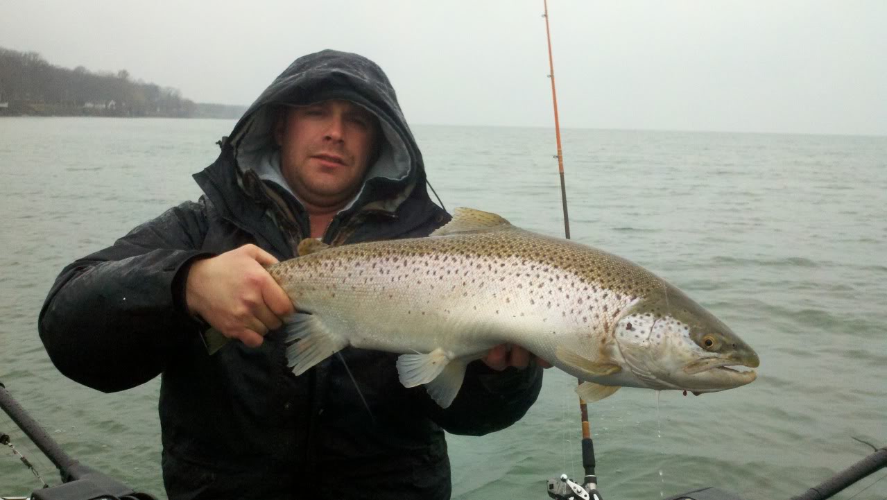 2012-04-01_10-08-55_750.jpg