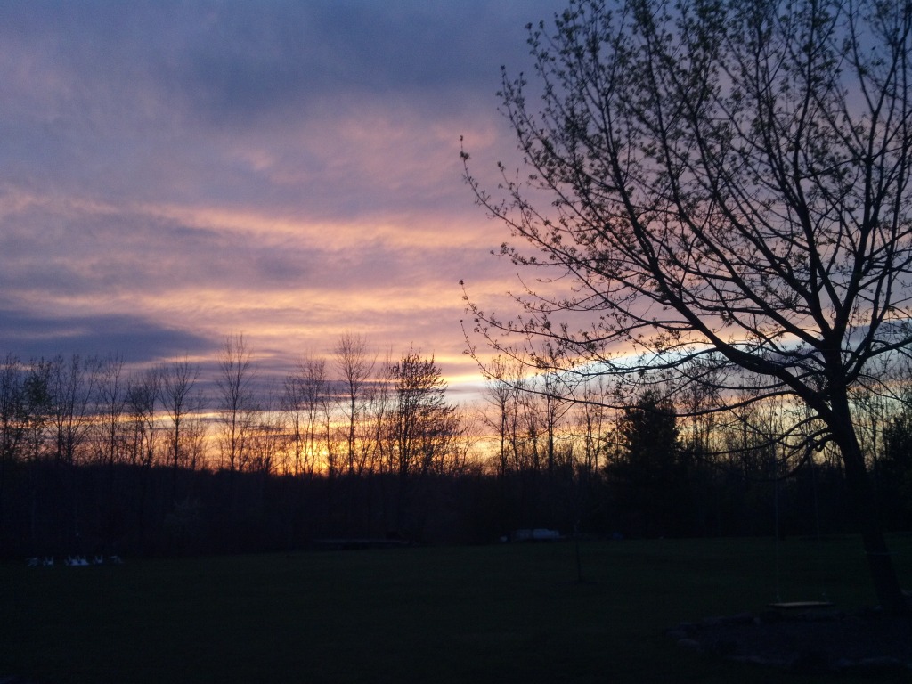 2012-04-17_20-02-13_825.jpg