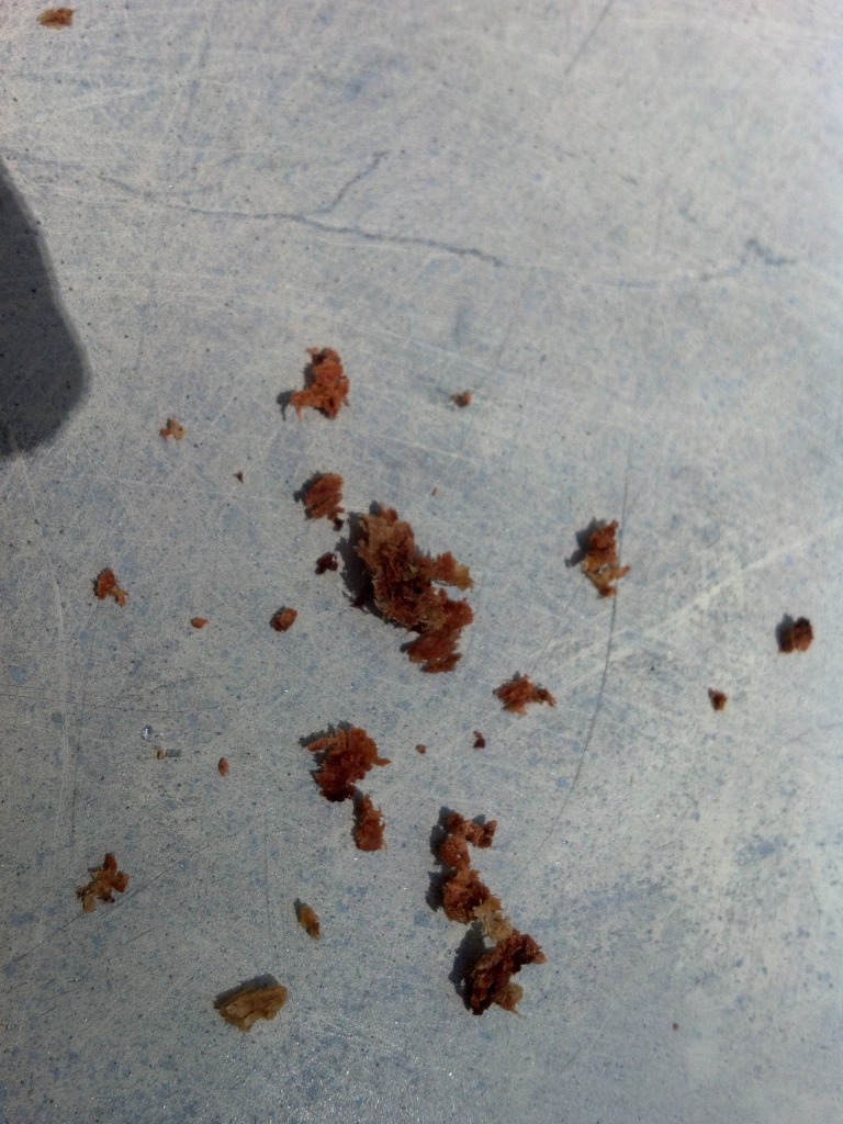 2012-05-06_14-53-56_104.jpg