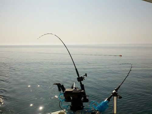2012-05-20_08-49-09_414.jpg