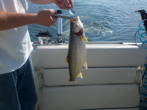 2012-05-20_09-14-47_682.jpg