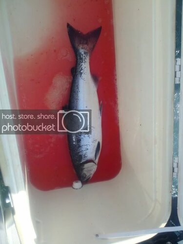 2012-05-22_08-34-06_551.jpg