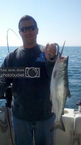 2012-05-24_09-35-59_930.jpg