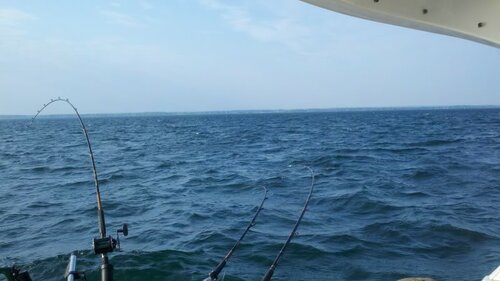 2012-05-25_07-36-10_750.jpg