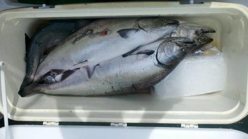 2012-05-26_12-43-14_7.jpg