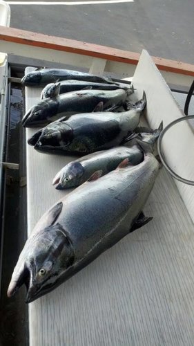 2012-05-26_15-17-14_479.jpg