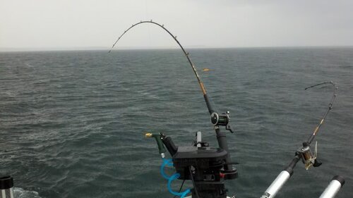 2012-06-03_08-54-05_0.jpg
