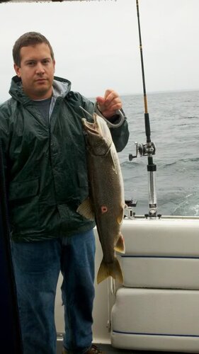 2012-06-03_09-33-16_48.jpg