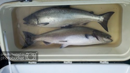 2012-06-10_10-23-05_79.jpg