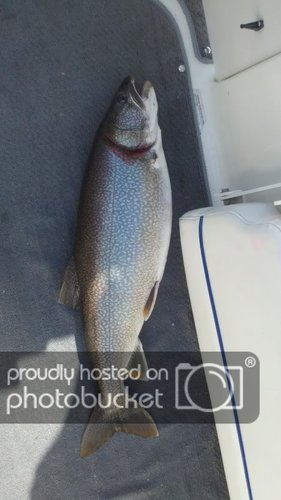 2012-06-15_08-47-42_632.jpg