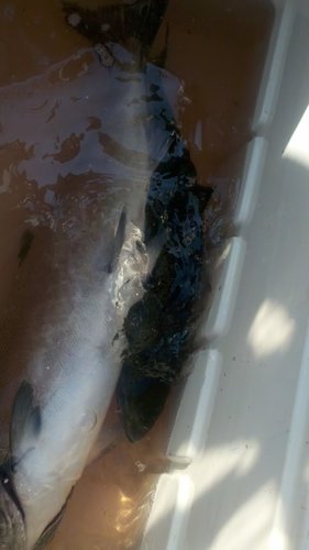 2012-07-21_09-45-22_828.jpg