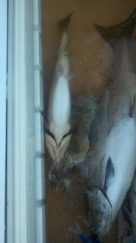 2012-07-21_11-25-27_939.jpg