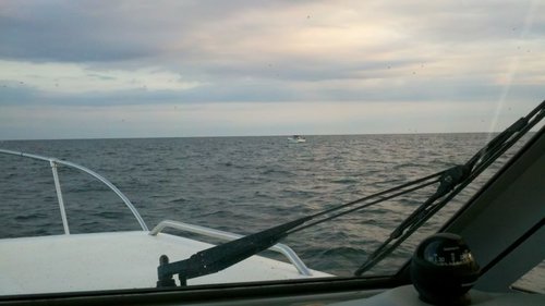 2012-07-22_06-24-18_711.jpg