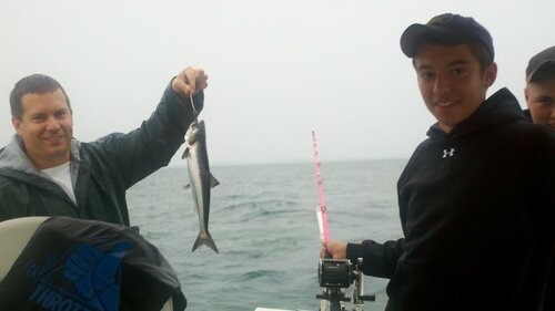 2012-07-28_07-13-45_597.jpg