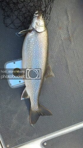 2012-07-29_09-26-46_228.jpg