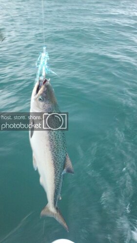 2012-08-10_19-33-38_438.jpg