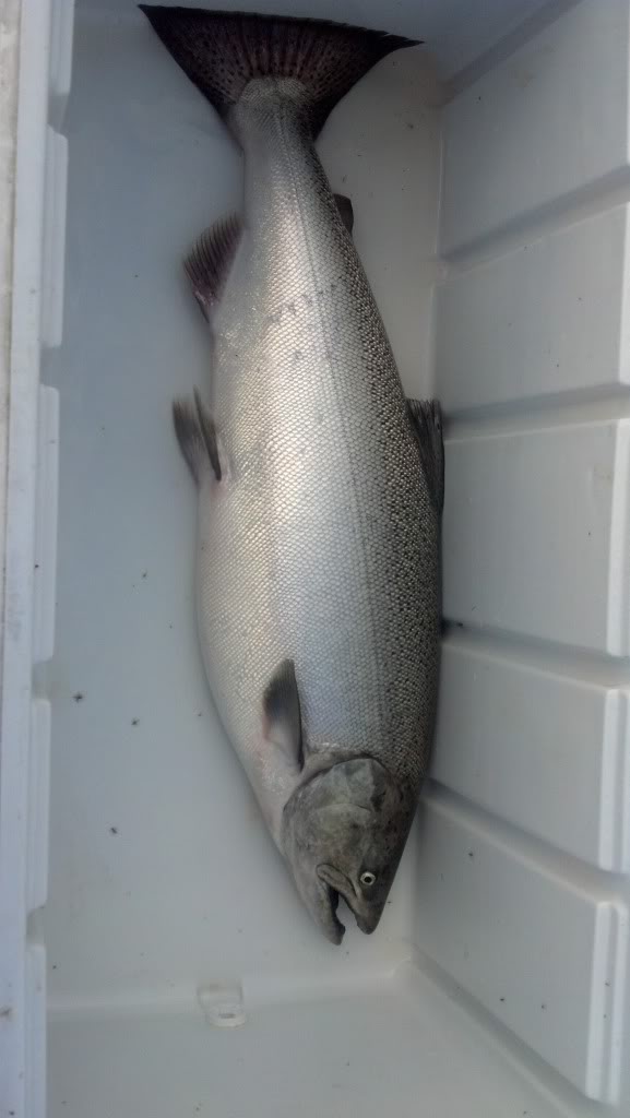 2012-08-11_08-49-40_661.jpg