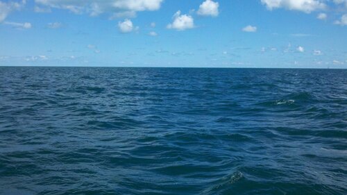 2012-08-18_12-09-30_741.jpg