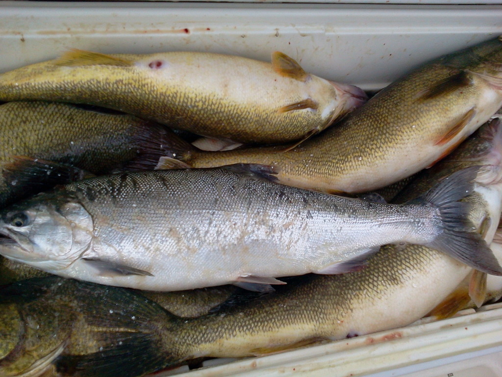 2012-08-19094747.jpg