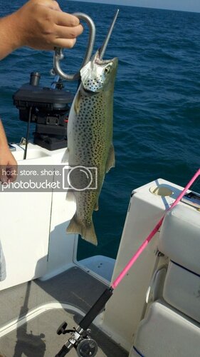 2012-08-25_10-10-12_720.jpg
