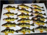 2012_02_18_16_43_55_180_3.jpg