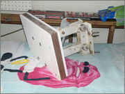 2012_0321katelyne0069.jpg