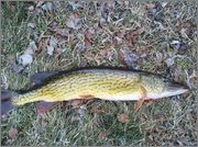 2012_03_04_08_31_07_593.jpg