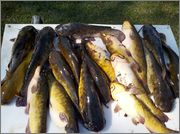 2012_03_17_13_27_07_255.jpg