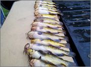 2012_03_24_12_45_30_32.jpg