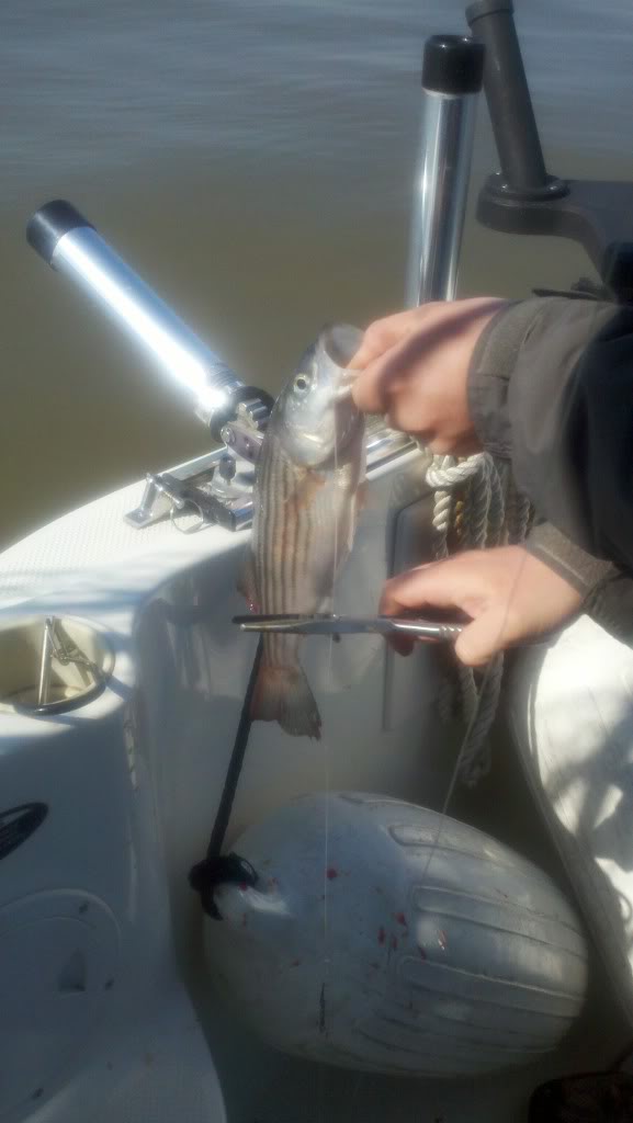 2013-04-28_09-55-03_842.jpg