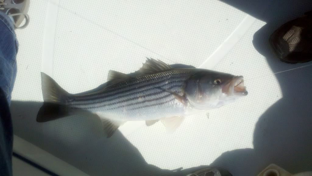 2013-04-28_10-52-52_509.jpg