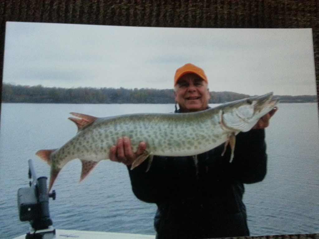 20131121_084404.jpg