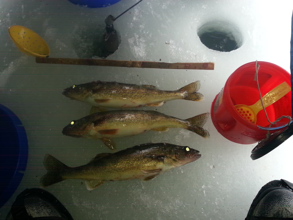 20140112_141131.jpg
