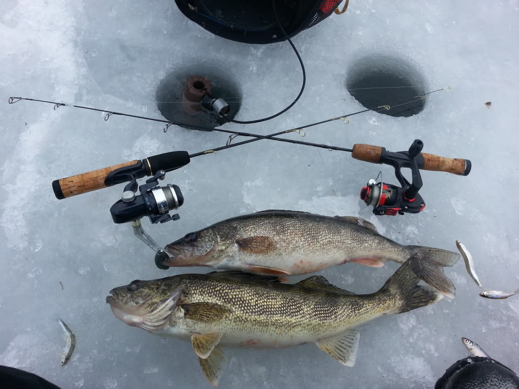 20140315_134605.jpg