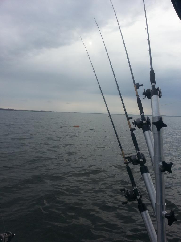 20140503_181442_zps3f9g50u7.jpg