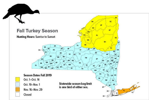 Image result for turkey fall season 2019 ny